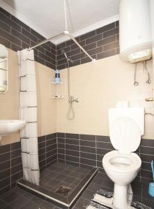 a bathroom with a toilet and a sink at Village house Borozan in Cetinje +26 photos