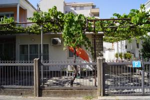 Fotografie z fotogalerie ubytování Apartments Boris v destinaci Budva