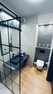 a bathroom with a sink and a toilet at Labar Apartments in Gdańsk