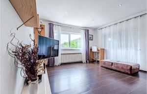Un televizor și/sau centru de divertisment la Pet Friendly Home In Zrnovska Banja
