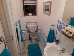 een badkamer met een toilet en een wastafel bij LES SOURCES GITE in Sainte-Marie-Outre-lʼEau