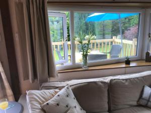 Imagen de la galería de The Garden Shed 1, en Builth Wells 16 fotos más