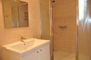 een badkamer met een douche, een wastafel en een spiegel bij Gite Le Greillis in Durbuy