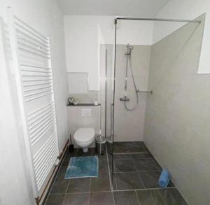a bathroom with a shower and a toilet in it at International 6 in Bad Harzburg