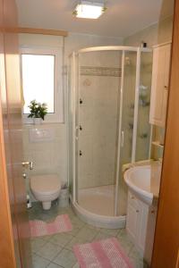 ein Bad mit einer Dusche, einem WC und einem Waschbecken in der Unterkunft Haus Orta in Zermatt