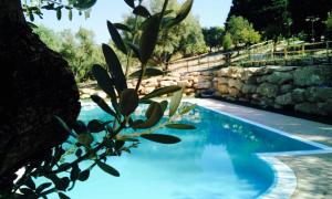 a swimming pool with blue water and a stone wall at Agriturismo DonnoMarco in Simeri
