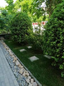 Zahrada ubytování Gyöngyi Apartman
