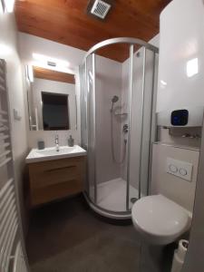 a bathroom with a shower and a toilet and a sink at Apartmány Lebedín in Nová Ves