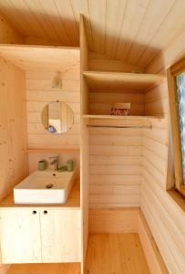 een badkamer in een blokhut met een wastafel bij Tiny Côte d’Opale in Audresselles