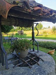 a plant in a pot sitting on a table at La Chambre de La Pomerie in Chiché +7 photos