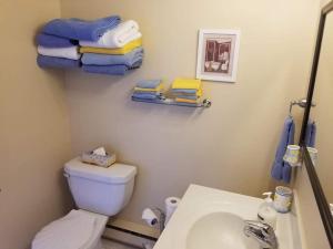 a bathroom with a toilet and a sink and towels at St Ann's Motel & Cottage in Baddeck +45 photos