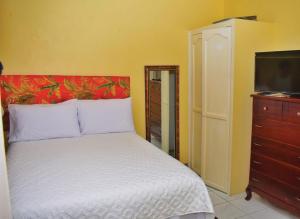 ein Schlafzimmer mit einem Bett, einer Kommode und einem TV in der Unterkunft Unity Villa one bedroom apartment with, cable, park wifi,near beach in Montego Bay