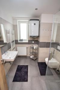 a bathroom with a sink and a toilet and a shower at Blue apartment Klínovec in Loučná pod Klínovcem