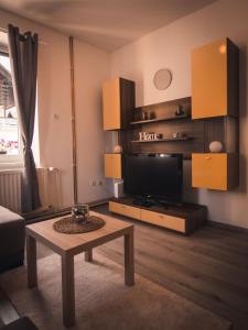 Kuchyň nebo kuchyňský kout v ubytování Apartments STARI TIGER + 17 fotografií