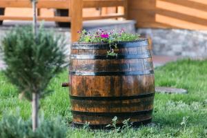 Vonkajšia záhrada v ubytovaní Wood Fairy