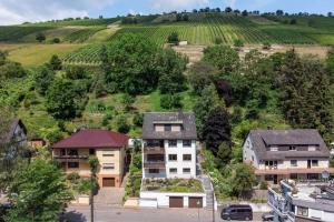 eine Luftansicht von Häusern und einem Weinberg in der Unterkunft Rheintal-Ferien - 90 qm Ferienwohnung mit Wine & Style - Dein Urlaub am Rhein in Niederheimbach