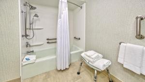 A bathroom at Holiday Inn Express Memphis Medical Center - Midtown, an IHG Hotel