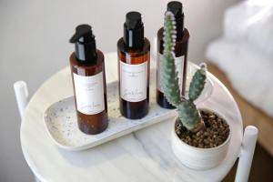 a table with three bottles ofodorizers and a cactus at Santa Lucia Maccarese - Residenza Agricola in Maccarese