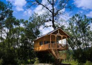 a tree house with a deck on a stump at Cuibul Vulturilor - Casuta in Copac in Moisei