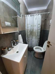 a bathroom with a sink and a toilet and a shower at NidoAparte Departamento Lujan Centro in Luján