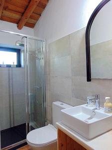 ein Bad mit einem WC, einem Waschbecken und einer Dusche in der Unterkunft Suão Retiro Alentejano in Amieira