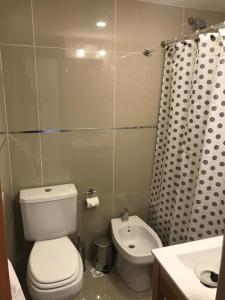 ein Badezimmer mit einem weißen WC und einem Waschbecken in der Unterkunft Penguins Flats 5 in Ushuaia