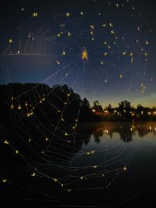 Fotografie z fotogalerie ubytování Pływająca Brda v destinaci Przywidz