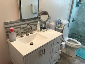 a bathroom with a sink and a toilet and a mirror at Brennan's B&B in Fairbanks