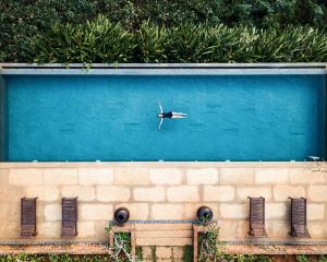 un pájaro nadando en una piscina de agua en Pepper Trail, en Sultan Bathery