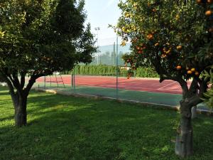 due alberi su un campo da tennis con un albero di arancio di Belvilla by OYO La Brunetta a Massafra