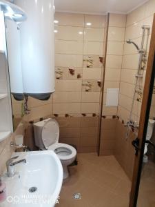 a bathroom with a toilet and a sink and a shower at Апартамент Рая in Devin