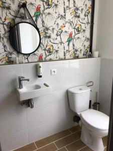 a bathroom with a toilet and a mirror and a sink at Hôtel Saint Eloi in Tours