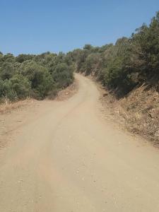 a dirt road with trees on the side of it at Olive Bay Hilltop Apartments Ammouliani in Ammouliani