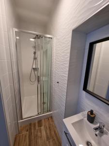 a bathroom with a shower, sink, and tub at Apartamenty Katowice Stawowa 5 in Katowice