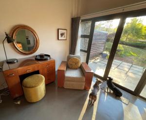 a dog standing in a living room with a mirror at Bramasole Guesthouse in Magoebaskloof