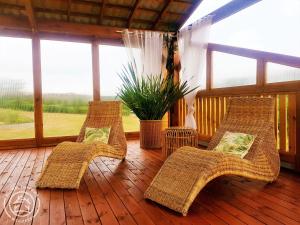 a porch with wicker chairs and a potted plant at Słonecznikowe Wzgórze in Debina