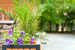 a potted plant with flowers in a wooden box at Apartamenty Bernardo Lux in Karpacz