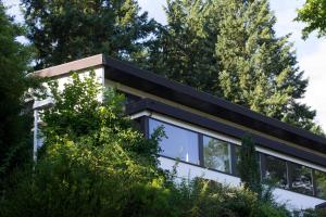 a house with a black roof and windows at Haus am Wald in Eltmann