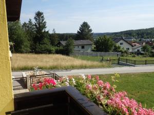 einen Balkon mit Blumen und Straßenblick in der Unterkunft Relax & Therapy in Bad Tatzmannsdorf