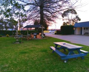 a picnic table in the grass in a park at City Park Motel and Apartments in Wagga Wagga