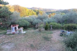 Paesaggio naturale nelle vicinanze of country house