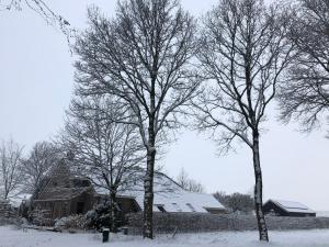 a house and two trees in the snow at Bed & Breakfast Ter Borg in Sellingen
