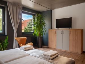 a bedroom with a bed with a television and a plant at R31 Residence in Sárvár