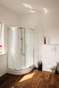 a bathroom with a glass shower and a toilet at Apartament Antonia in Sarnowy