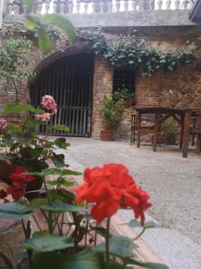 Zahrada ubytování Antico Borgo di Torri