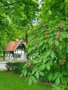 ein großer grüner Busch vor einem Haus in der Unterkunft 2stāvu PARKA NAMIŅŠ Viesturdārzā pērļu medniekiem! in Riga