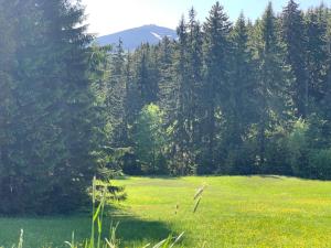 Príroda v okolí apartmánu