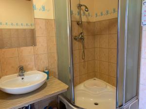 La salle de bains est pourvue d'un lavabo et d'une douche. dans l'établissement Lubāna mitrāja informācijas centrs, à Abaine