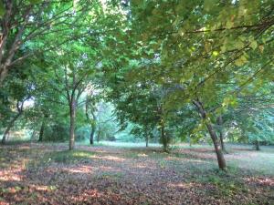 Paesaggio naturale nelle vicinanze of country house