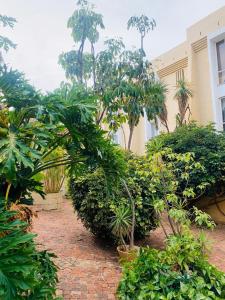 a garden with plants and trees in front of a building at The Loft@Santorini in Pretoria